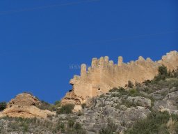 Castillo de Pliego 2009